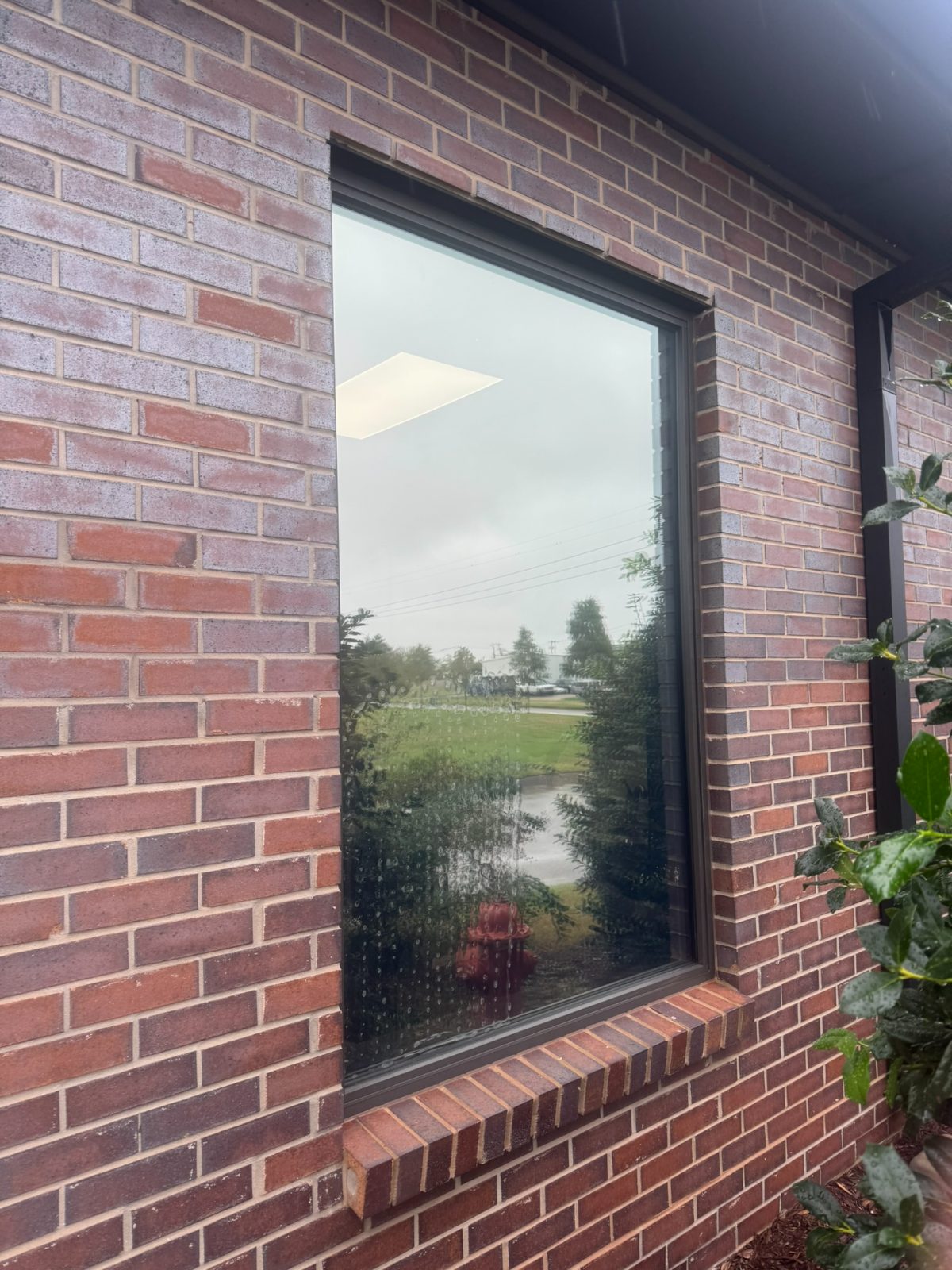 Decorative Window Film